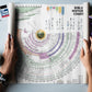 World History Chart