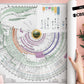 World History Chart