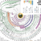 World History Chart