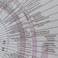 World History Chart