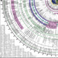 World History Chart Pre Order