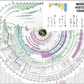 World History Chart Pre Order