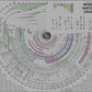 World History Chart Pre Order